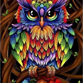 Colorful Owl